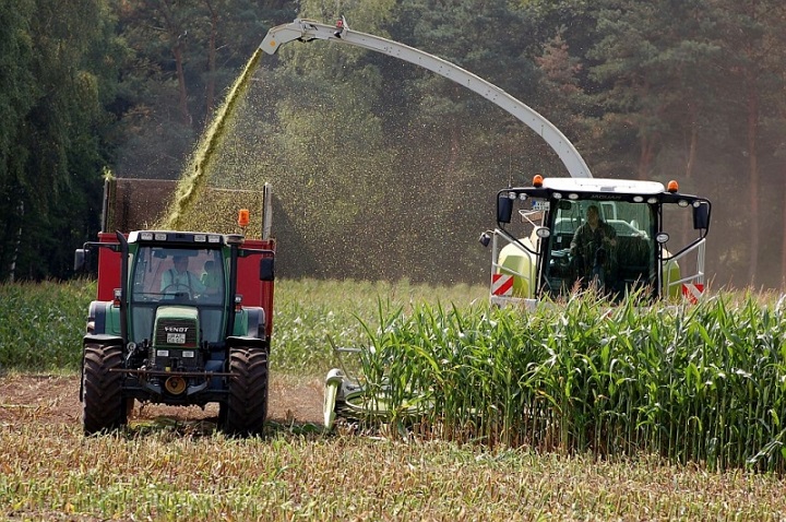 mais hakselen duitsland Agrifoto