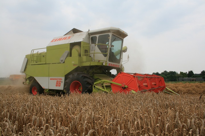 claas combine tarwe Agrifoto