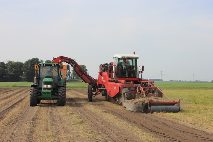 zilveruien rooien agrifoto