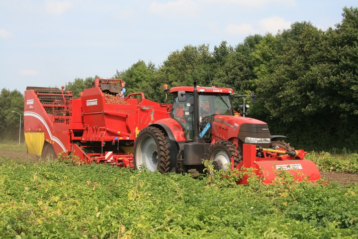 Case IH Grimme aardappelrooier Agrifoto