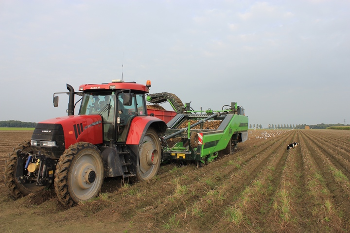 Aardappelen Oogsten Voor De Regen - Fotoreportage Agrifoto ...