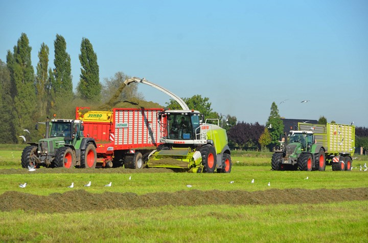 Gras hakselen Agrifoto