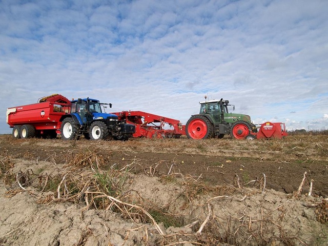 Aardappelen rooien Grimme Agrifoto