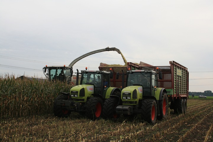 Claas mais hakselen Agrifoto