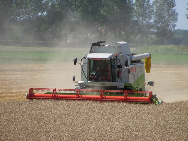 Claas combine tarwe Hoeksche Waard Agrifoto