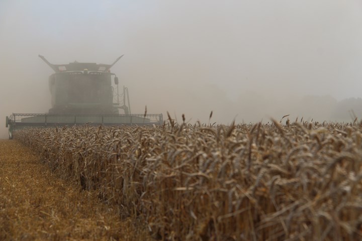 Oogst wintertarwe John Deere Agrifoto