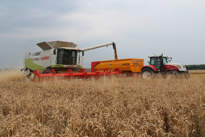 Oogst wintertarwe Emmeloord Kroes Agrifoto