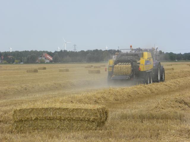 Stro persen oogst 2014 agrifoto
